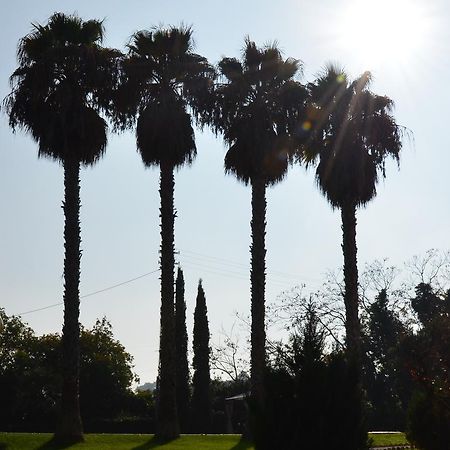 Villa Montanari Rosati Porto San Giorgio Εξωτερικό φωτογραφία